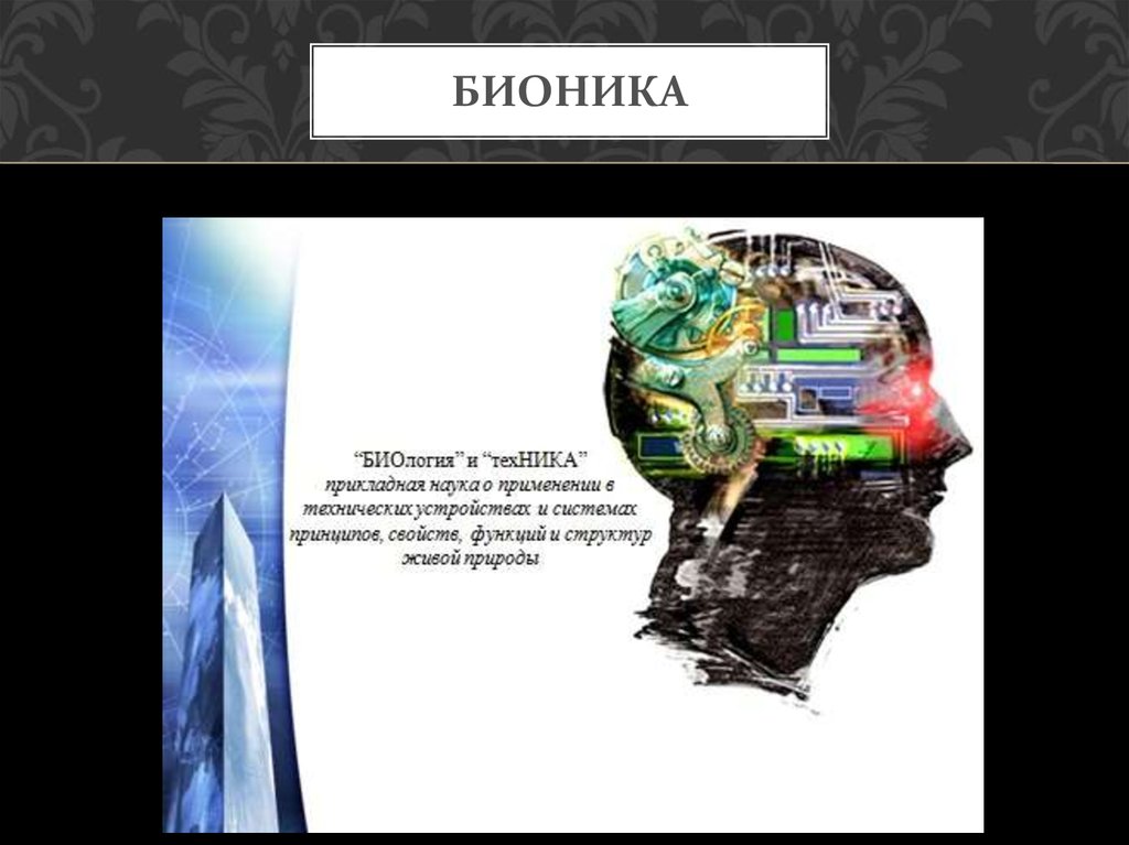 бионика