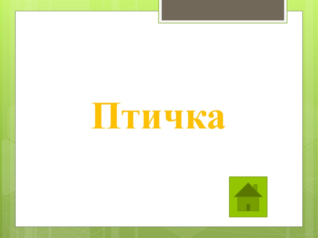 Птичка