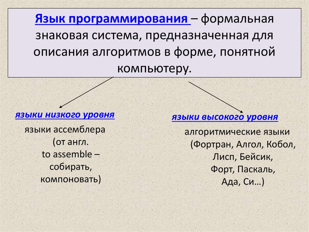 Формальная знаковая система предназначенная для записи программ