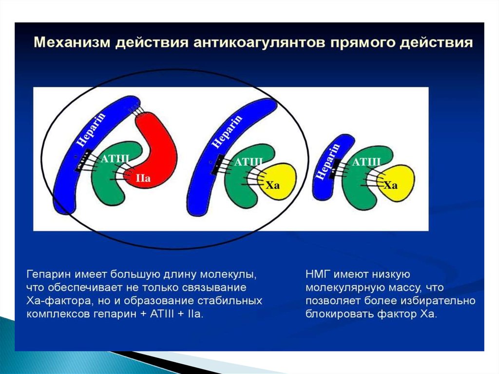 Презентация на тему антикоагулянты