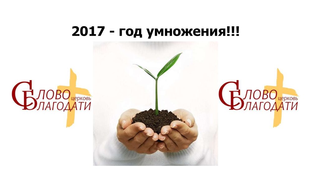 2017 - год умножения!!!