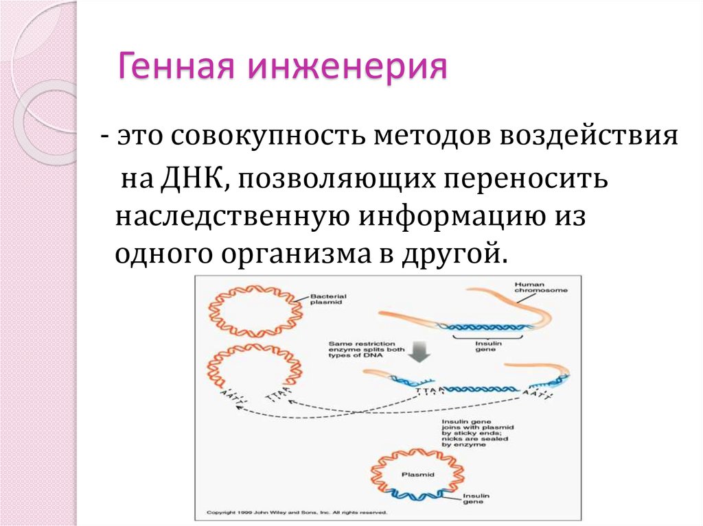 Генная инженерия это в биологии