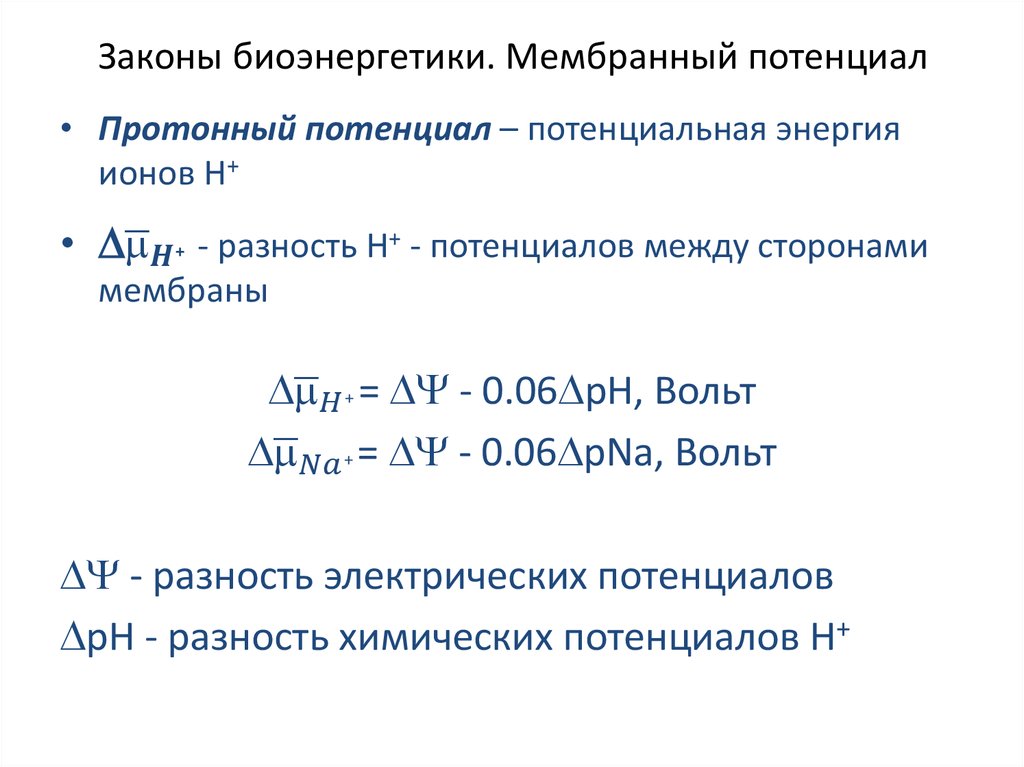 Законы биоэнергетики. Мембранный потенциал