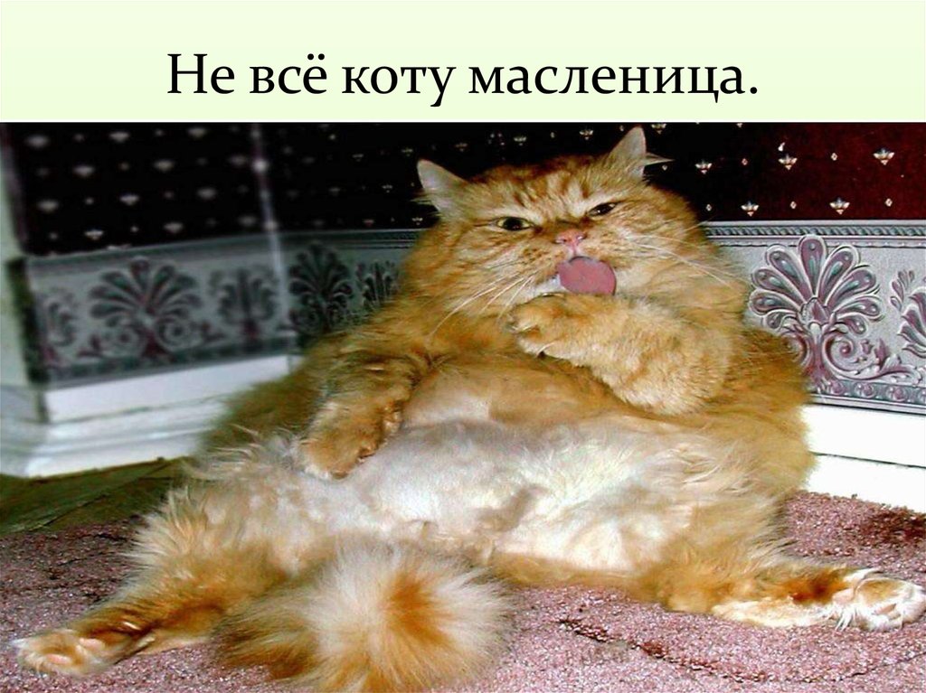 Не все коту масленица картинки