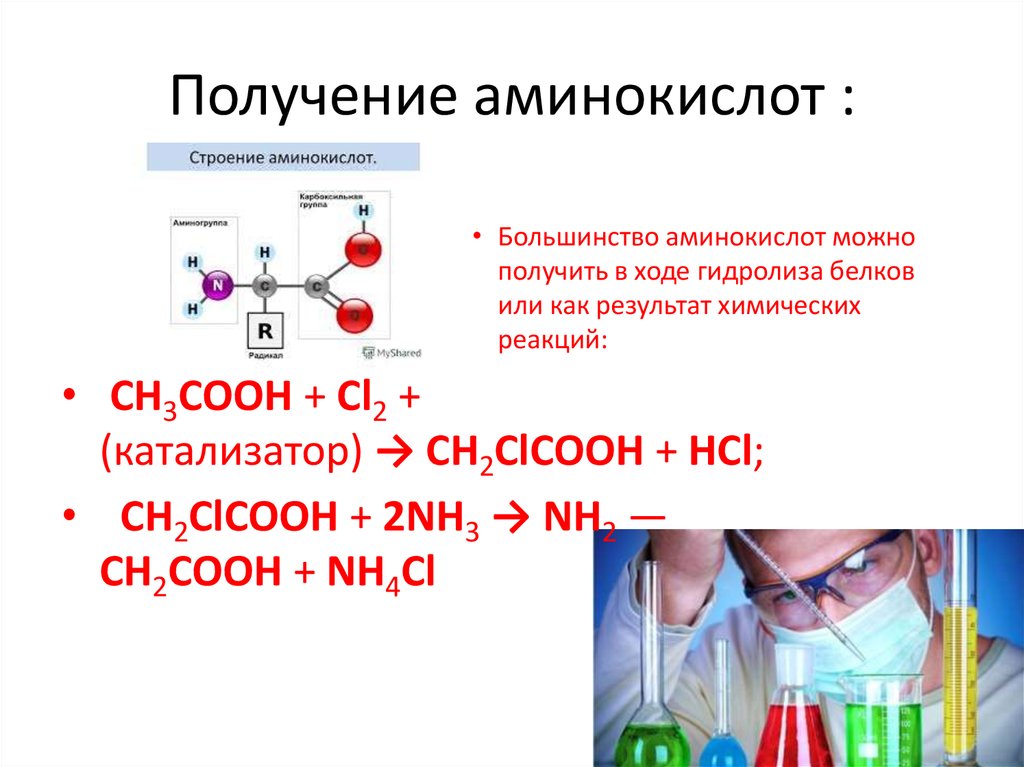 Схема получения аминокислот