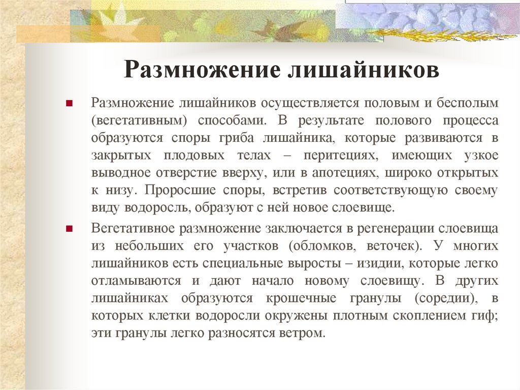 Как происходит размножение лишайников