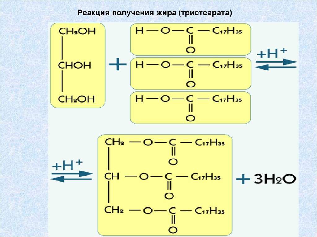 Реакция гидролиза тристеарата. Формула получения жира. Формула тристеарата глицерина. Синтез жира формула. Получение жиров химические реакции.