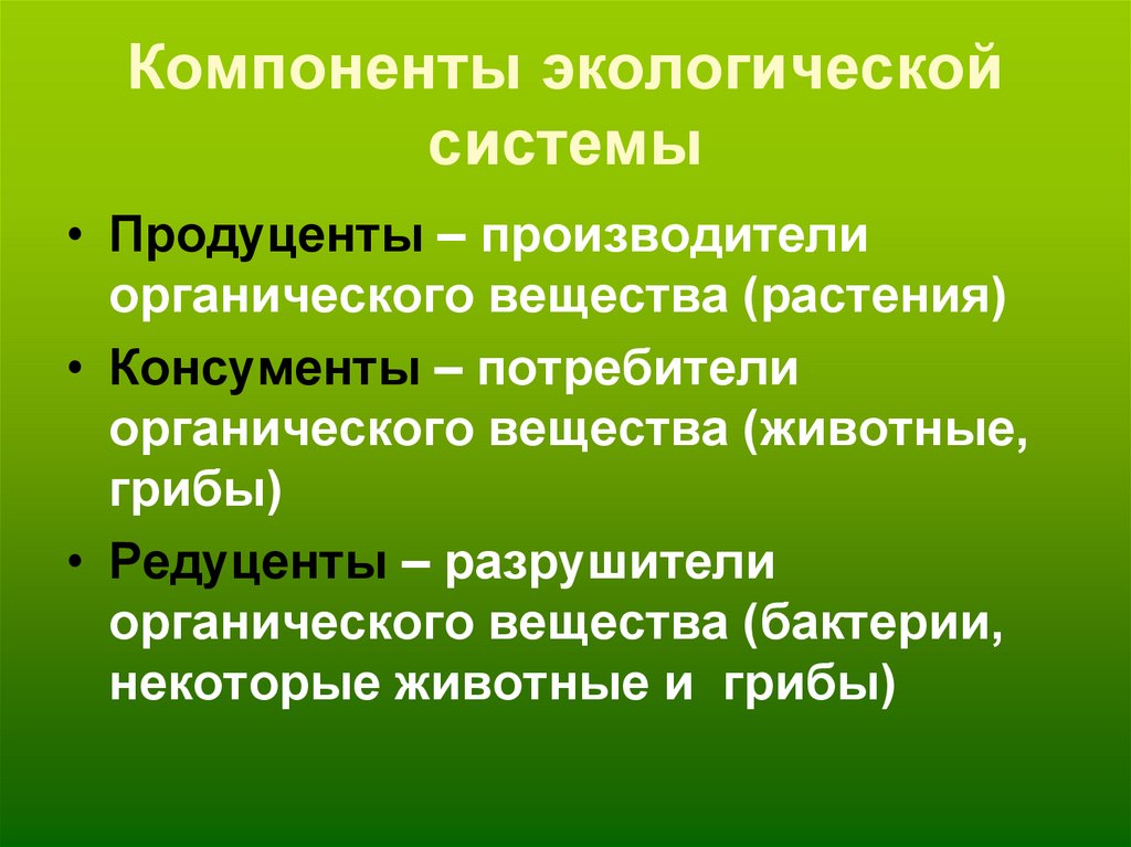 1 природную систему. Компоненты экосистемы. Перечислите основные компоненты экосистемы. Элементы экосистемы. Компоненты биогеоценоза.