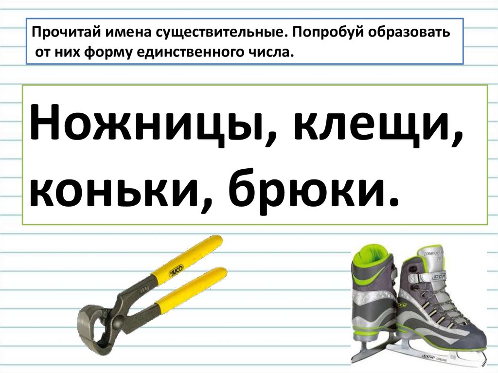 Множественное число имен существительных презентация. Коньки форма единственного числа. Ножницы клещи коньки брюки. Ножницы число имен существительных. Коньки в единственном числе.