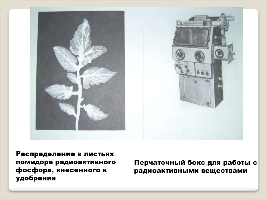 Презентация на тему использование радиоактивных изотопов в науке технике медицине