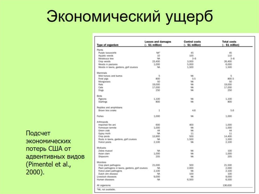 Экономический ущерб