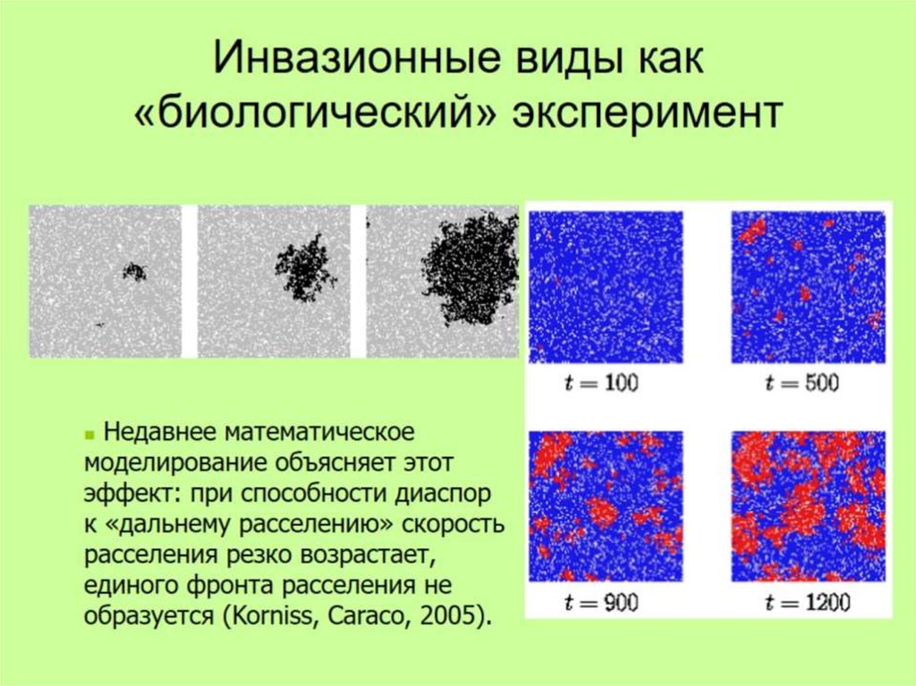 Инвазионные виды как «биологический» эксперимент