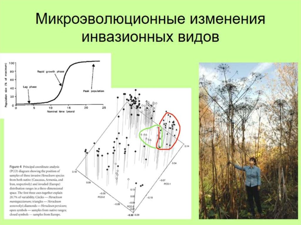 Микроэволюционные изменения инвазионных видов