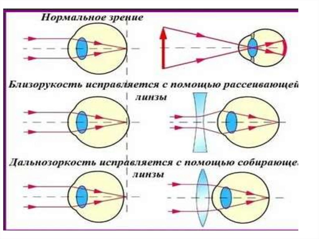 Оптическая сила линзы оптические приборы