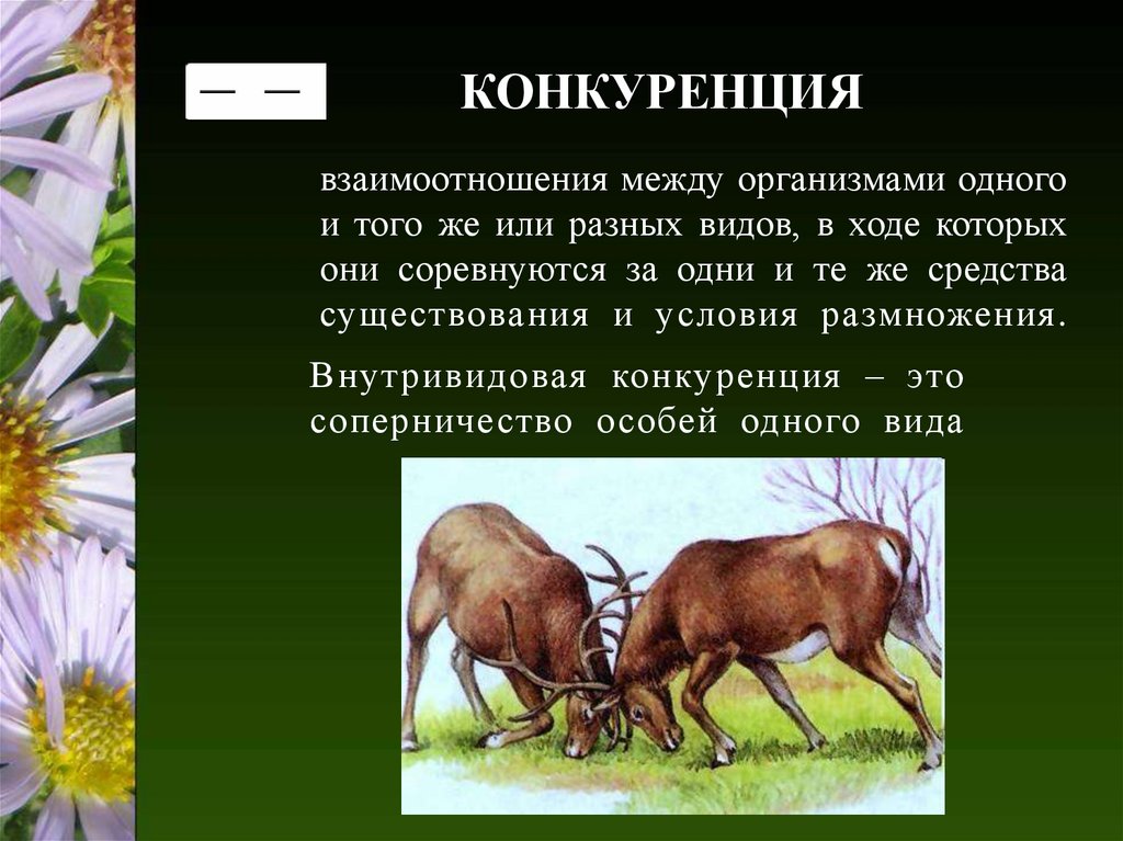 Типы взаимодействия популяций разных видов презентация 9 класс пасечник линия жизни