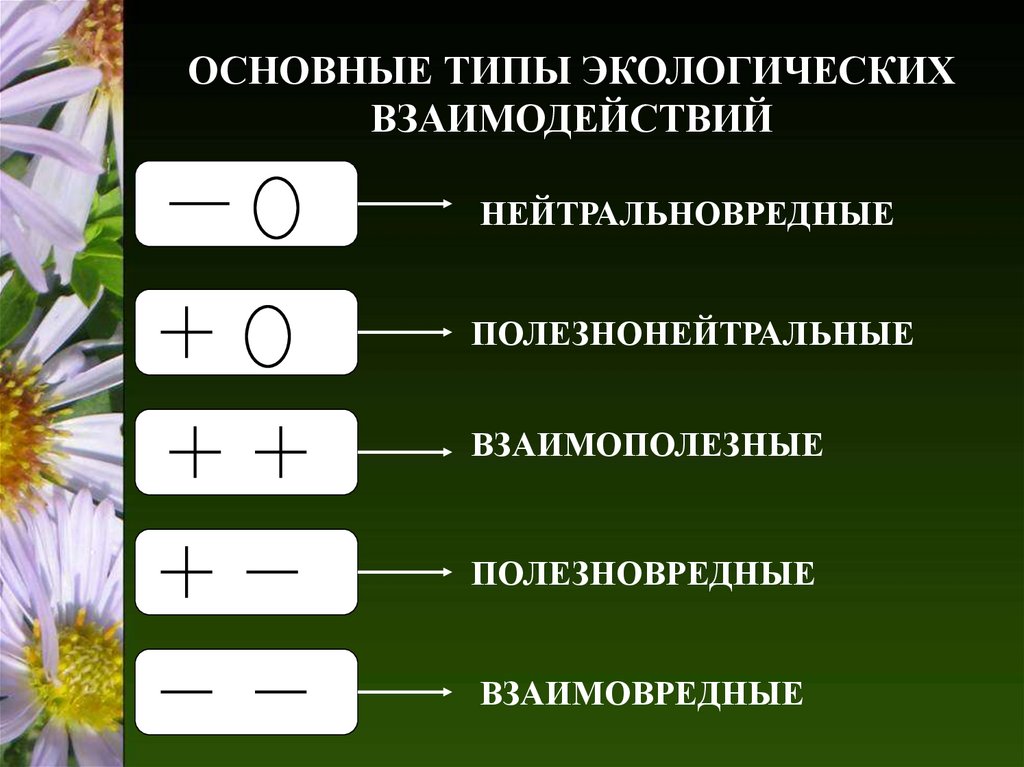 Основные типы экологических взаимодействий презентация 11 класс