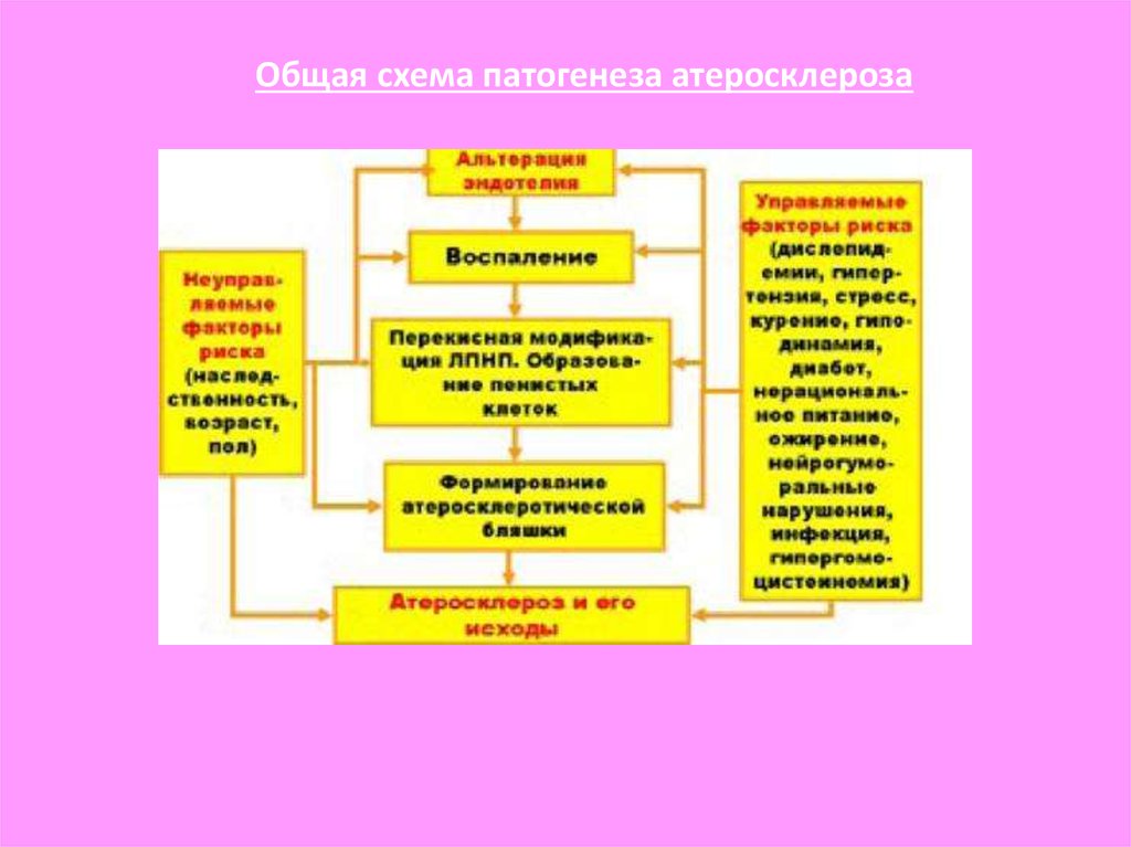 Теории патогенеза атеросклероза. Патогенез атеросклероза схема. Патогенез атеросклероза патофизиология схема. Патогенез атеросклероза патофизиология.