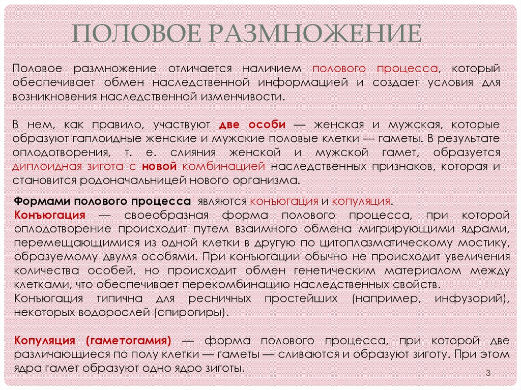 Чем отличается размножение. Характеристика полового размножения. Половое размножение обеспечивает. Половое размножение этапы. Половое размножение характеристика.