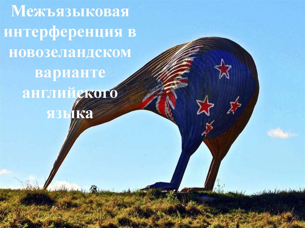 Киви зеландия. Национальный символ новой Зеландии птица киви. Киви символ новой Зеландии. Птичка киви символ новой Зеландии. Птица киви на гербе новой Зеландии.