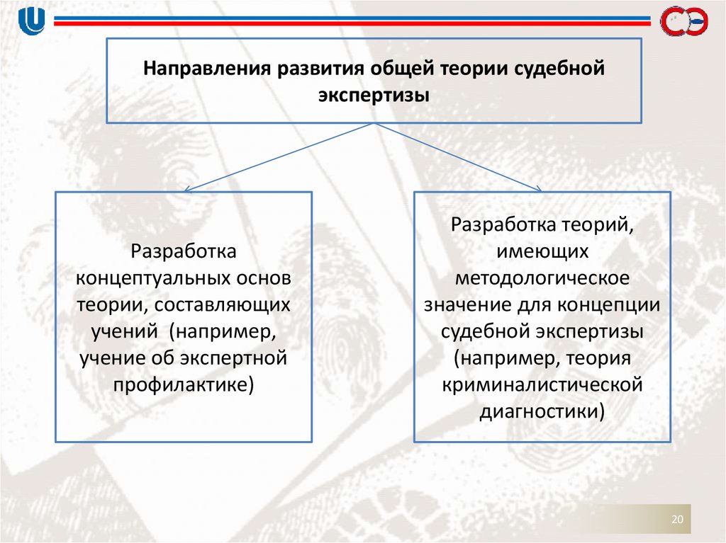 Общая теория судебных экспертиз