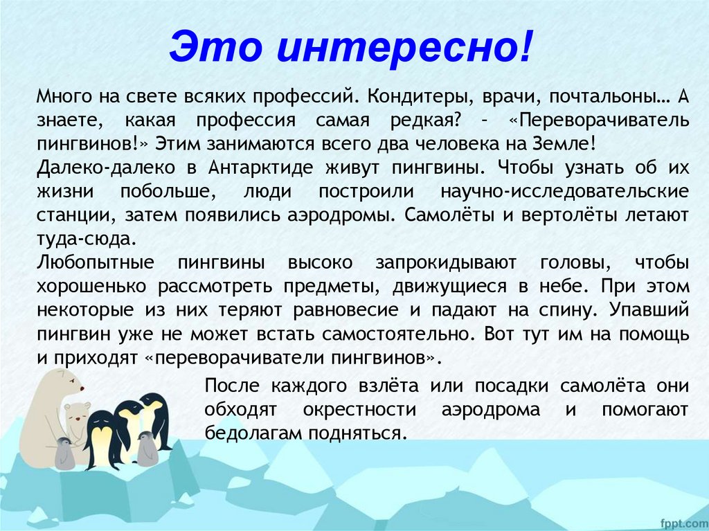 Заботливый зверек изложение 3 класс презентация