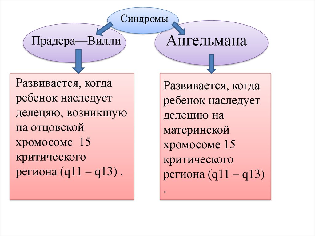 Синдром прадера вилли презентация