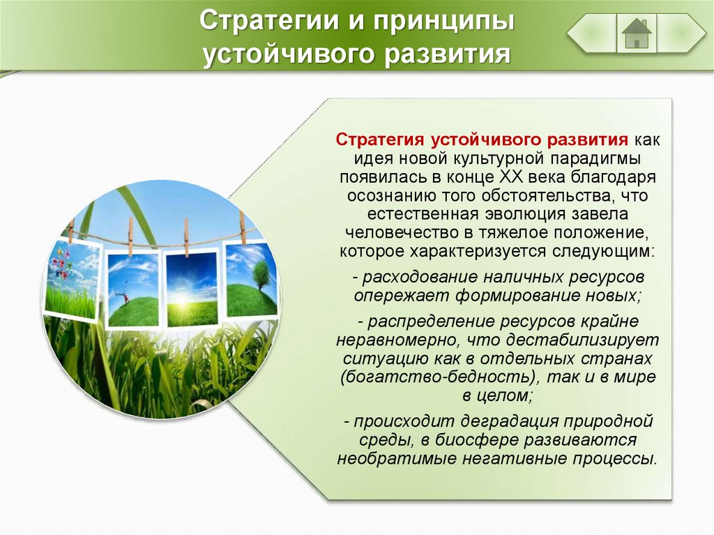 Стратегия устойчивого развития направлена на. Принципы устойчивого развития. Концепция устойчивого развития. Стратегия устойчивого развития. Устойчивое развитие в экологии.