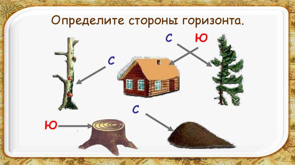 Презентация про ориентирование на местности