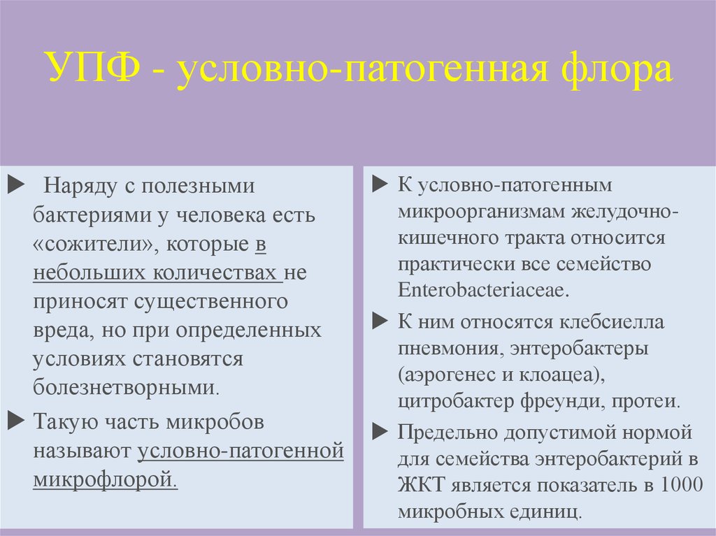 Патогенная микрофлора. Условно патогенная Флора. Условно патогенная микрофлора. Условно патогенная и патогенная Флора. Условно патогенная Флора кишечника.