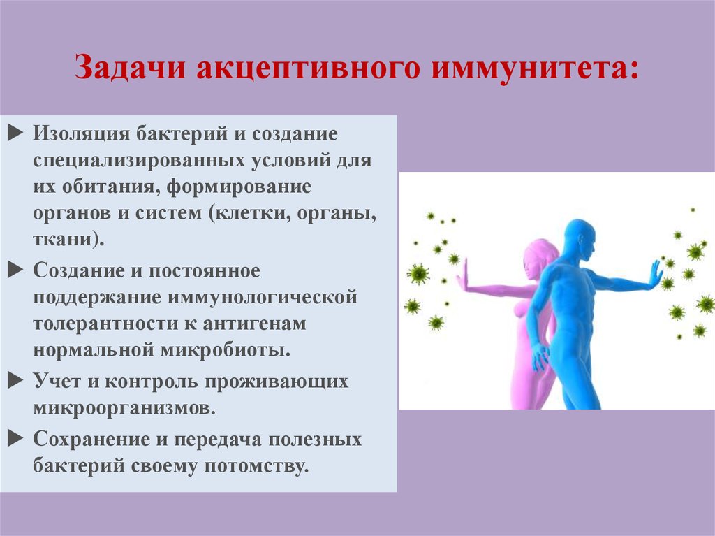 Задачи жизни человека. Задачи иммунной системы. Акцептивного иммунитета. Главная задача иммунитета. Местный иммунитет.