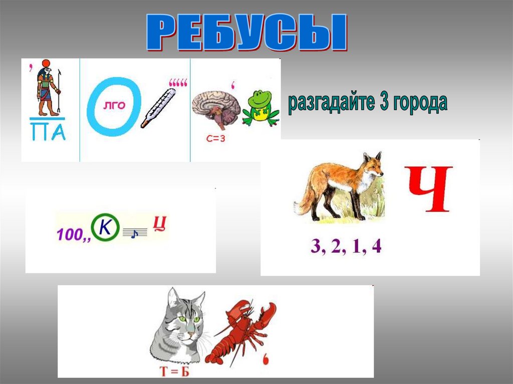 Ребусы 13