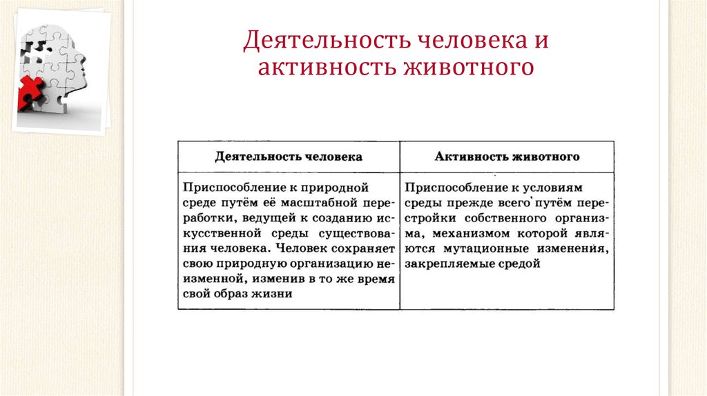 Отличие деятельности человека от поведения животных. Таблица деятельность человека и деятельность животного. Различия деятельности человека и активности животного. Активность животных это. Деятельность человека и активность животного таблица.