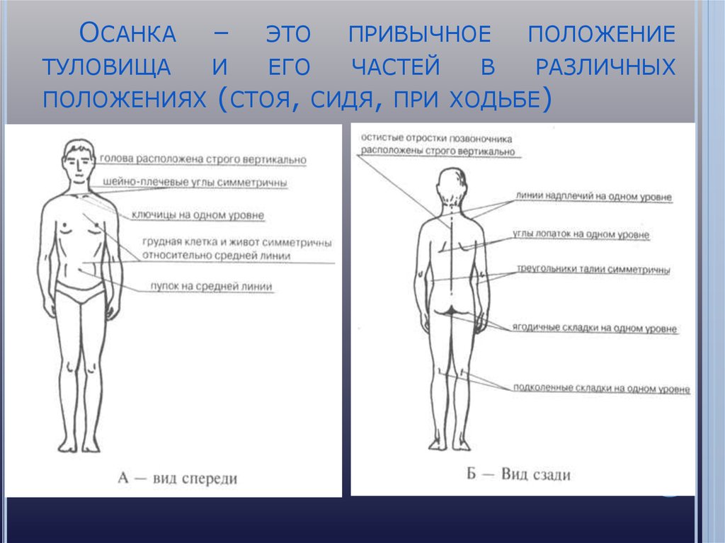 Прямое положение туловища