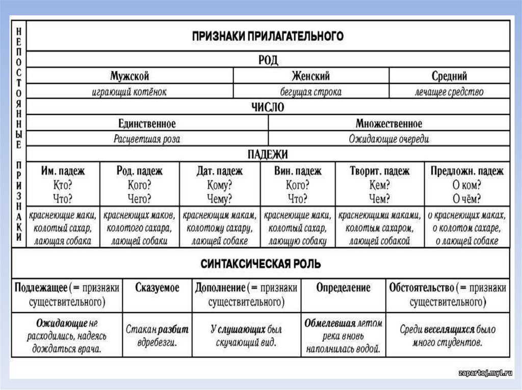 Морфологический анализ в русском языке 5