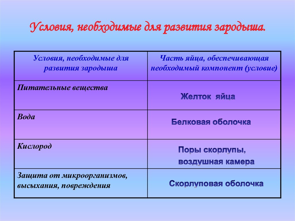 Необходимым условием развития. Условия необходимые для развития зародыша. Таблица условия необходимые для развития зародыша. Условия необходимые для развития зародыша птицы таблица. Условия развития зародыша у птиц.