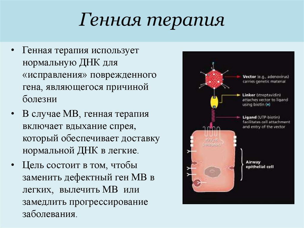 Генная терапия презентация