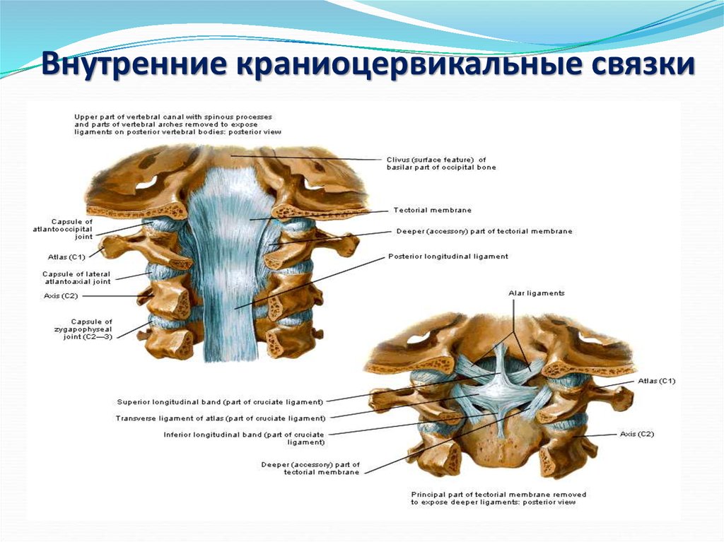 Повреждение шейного отдела позвоночника