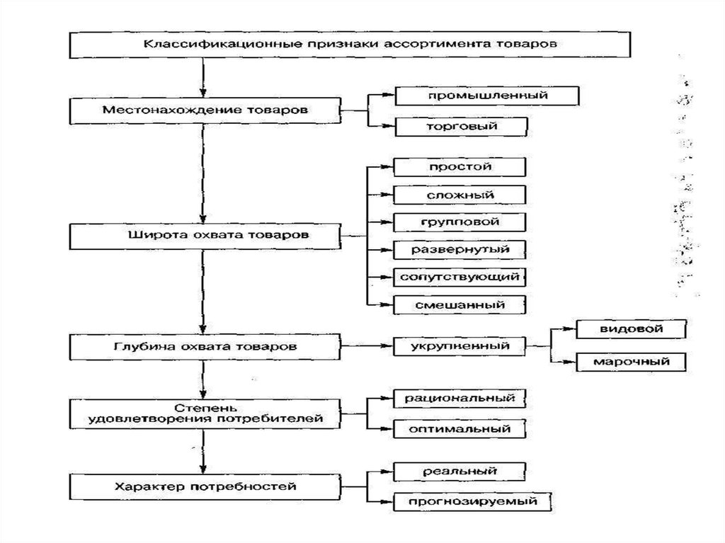 Схема торгово технологического процесса в магазине магнит