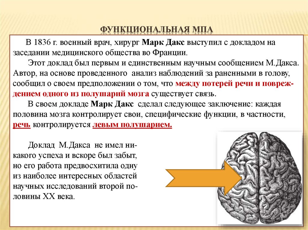 Реферат: Функциональная ассиметрия головного мозга