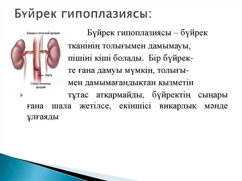 Бүйрек жетіспеушілігі презентация