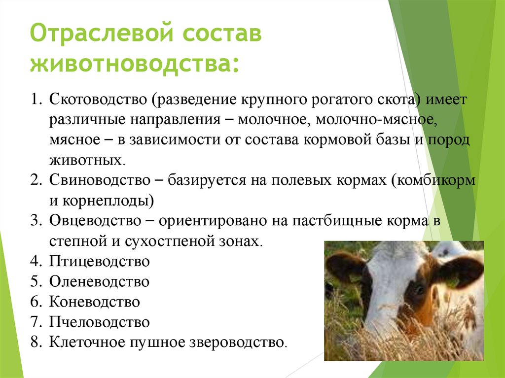 Для центральной россии характерно скотоводство. Сельское хозяйство животноводство. Отрасли растениеводства и животноводства. Презентация по животноводству. Презентация отрасли животноводства.