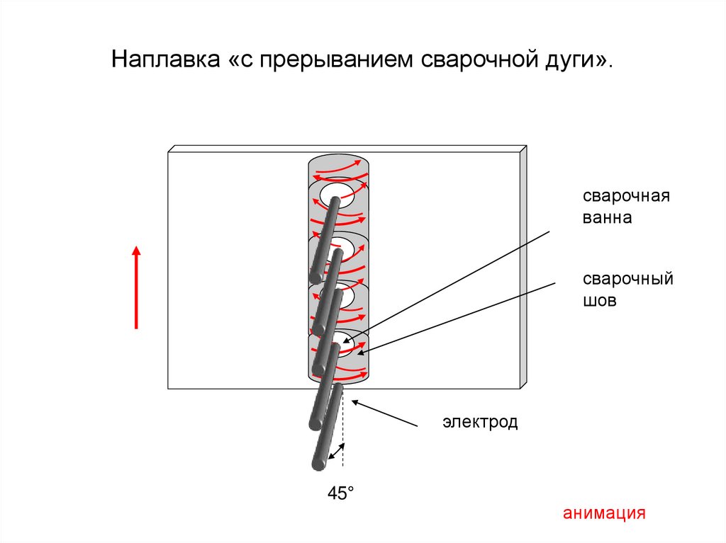 Находиться в вертикальном положении