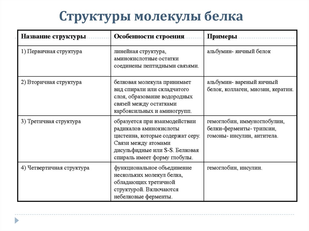 Презентация структура белков