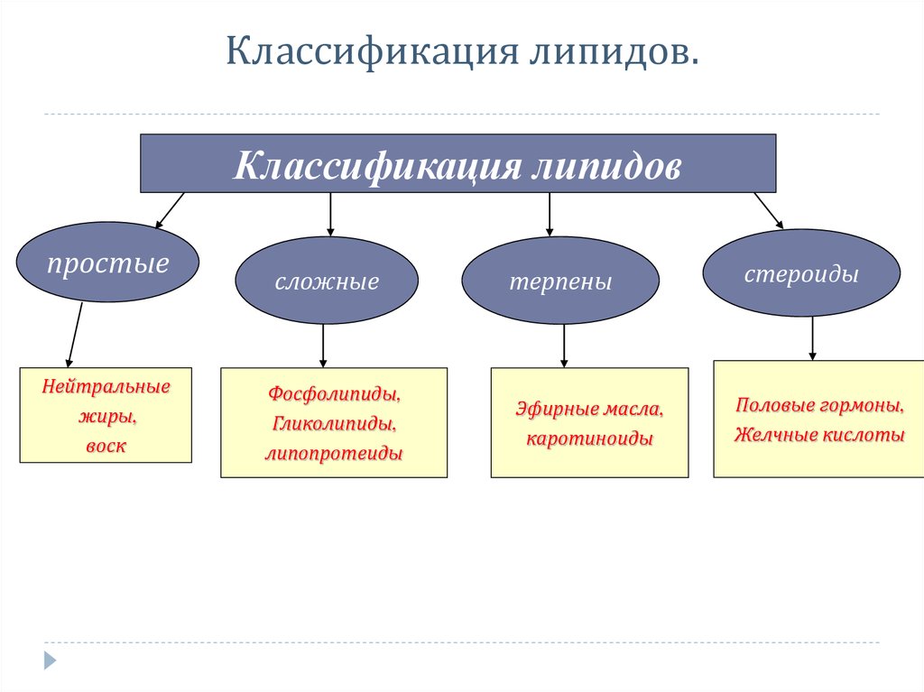 Классификация липидов. Простые липиды классификация. Классификация липидов биология 10 класс. Классификация липидов жиры и липоиды. Классификация липидов нейтральные жиры.