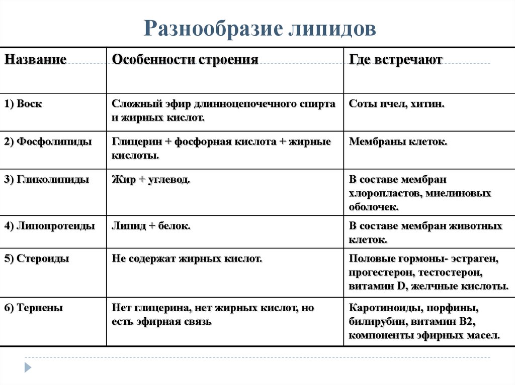 Особенности строения свойства. Липиды строение и функции. Липиды строение и функции свойства таблица. Название строение функции липидов таблица. Характеристика строения липидов.