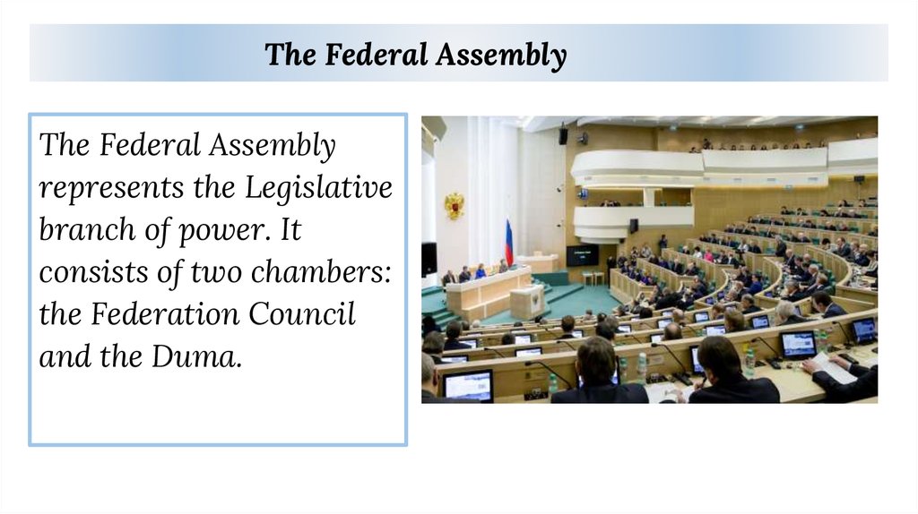The Federal Assembly