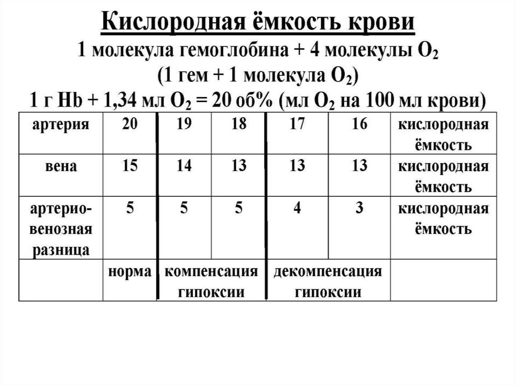 Периоды гипоксии. Анализ крови при лимфобластном лейкозе. Лейкоцитарная формула при хроническом лимфолейкозе. Острый лимфобластный лейкоз анализ. Острый миелобластный лейкоз лейкоцитарная формула.