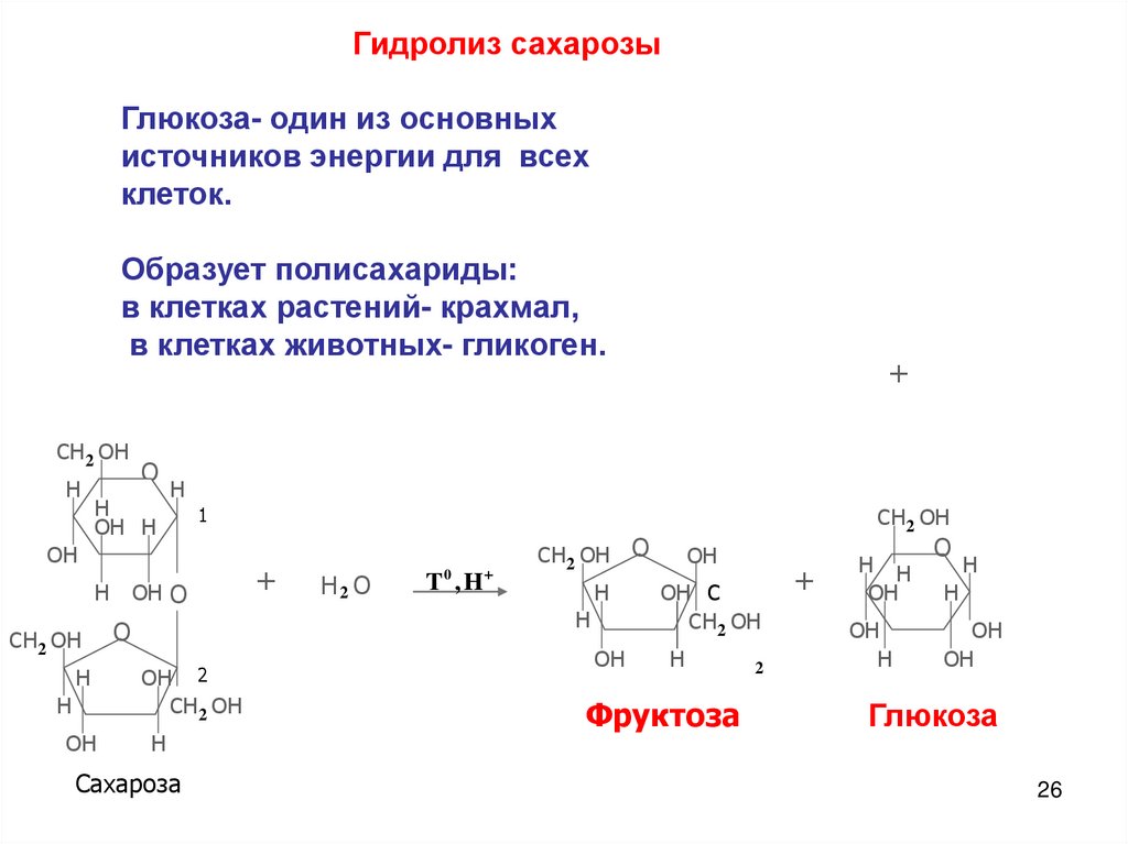 Гидролиз сахарозы схема