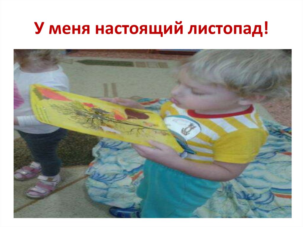 У меня настоящий листопад!