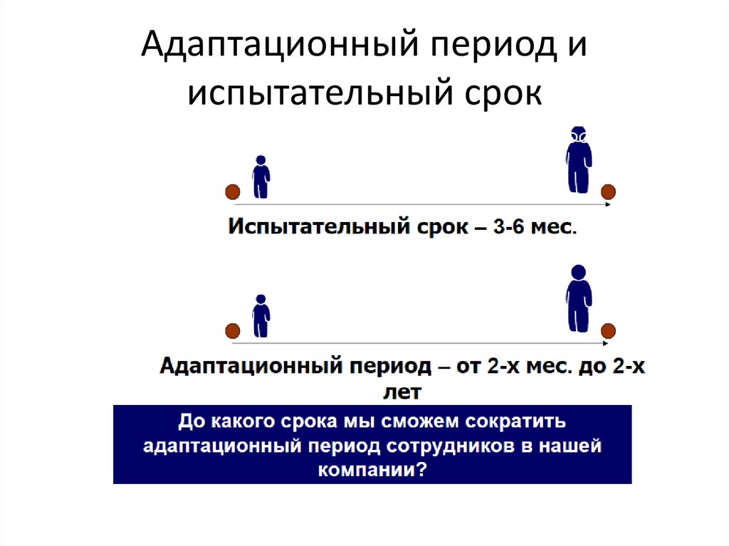 Адаптация персонала в компании тойота